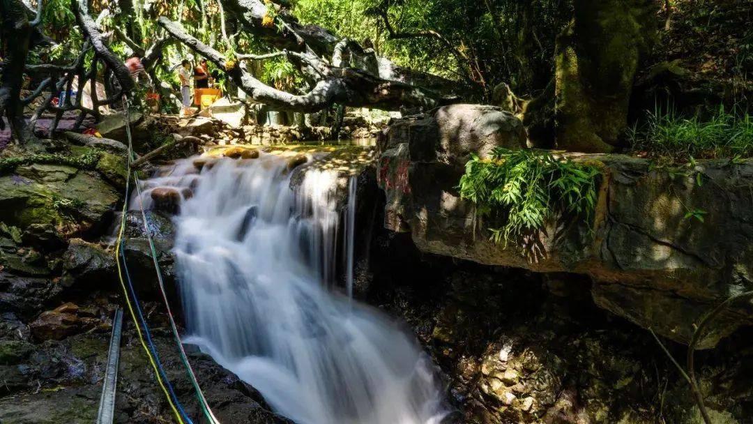 凭观察就是主动行为吗?知识星球平台,专业分享与传播知识